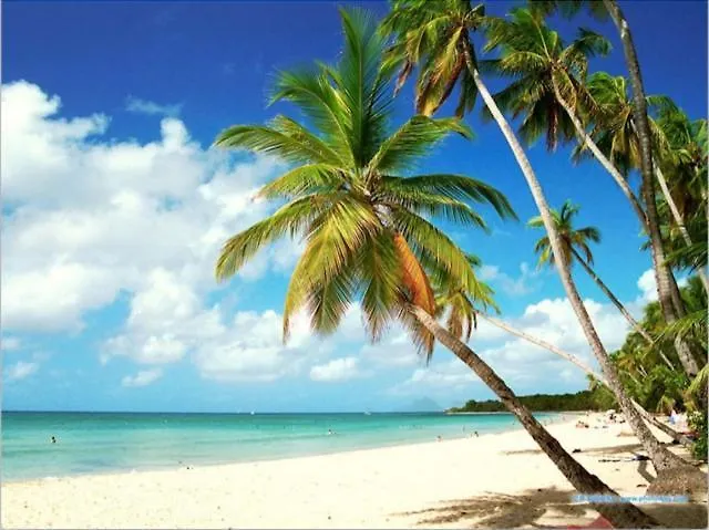 Apartment Studio De Charme Vue Mer 2 Personnes Entierement Renove Les Trois-Ilets Martinique